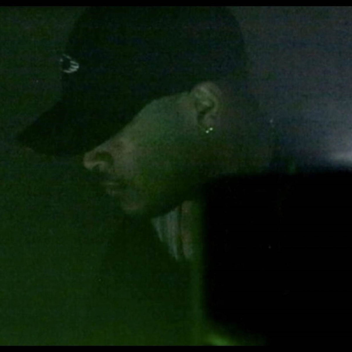 Dedekind Cut – The Expanding Domain (DED005) vinyl cover