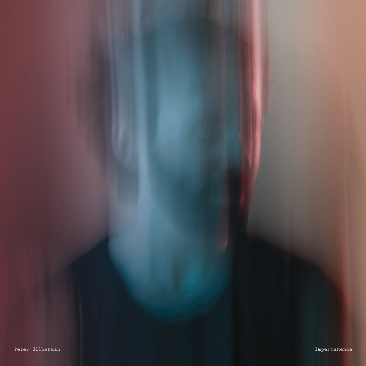 Silberman, Peter – Impermanence vinyl record cover