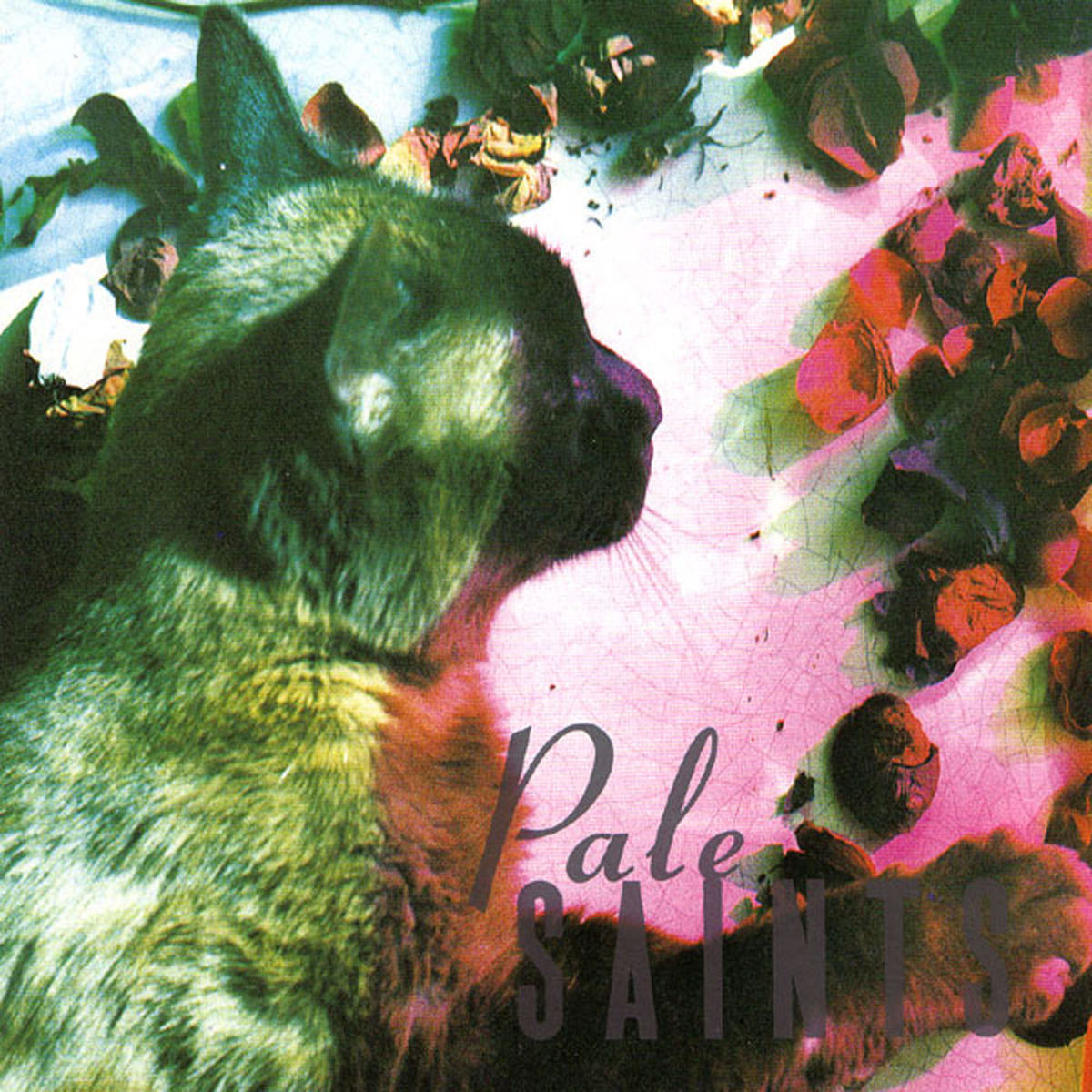 Pale Saints – The Comforts Of Madness (CLEAR) vinyl record cover