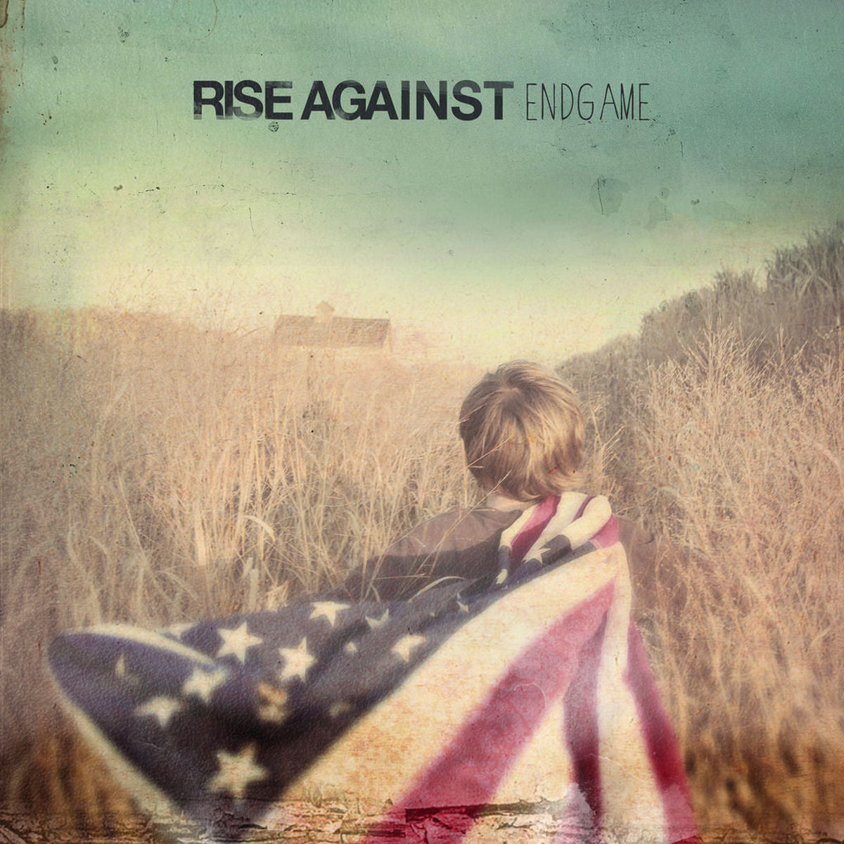 Rise Against – Endgame vinyl record cover