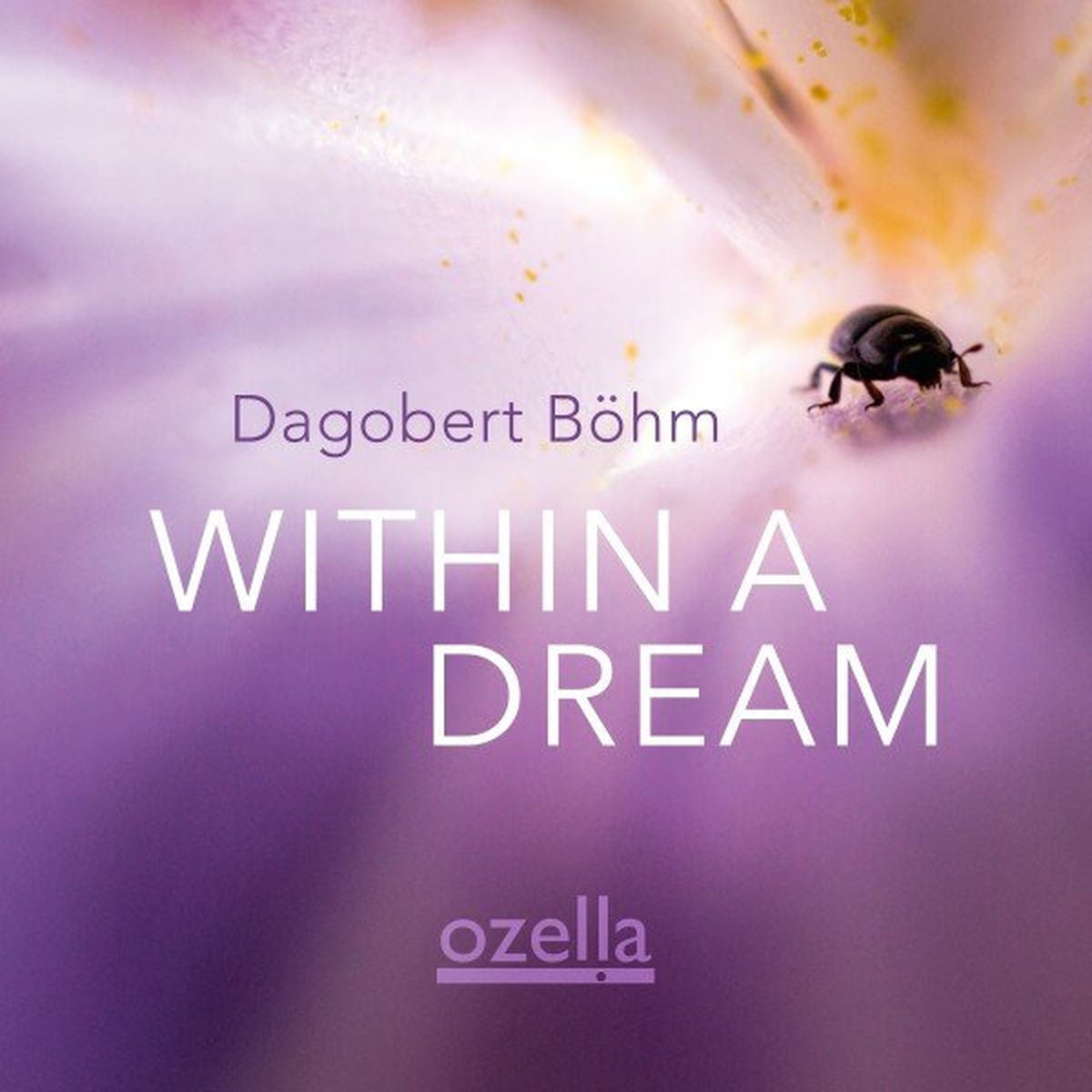 Dagobert Bohm – Within a Dream vinyl record cover