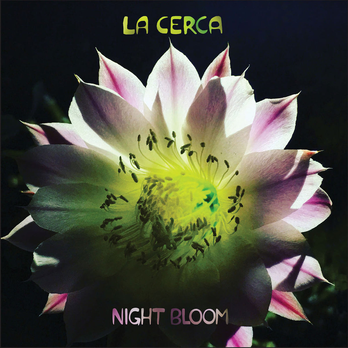 La Cerca – Night Bloom vinyl record cover