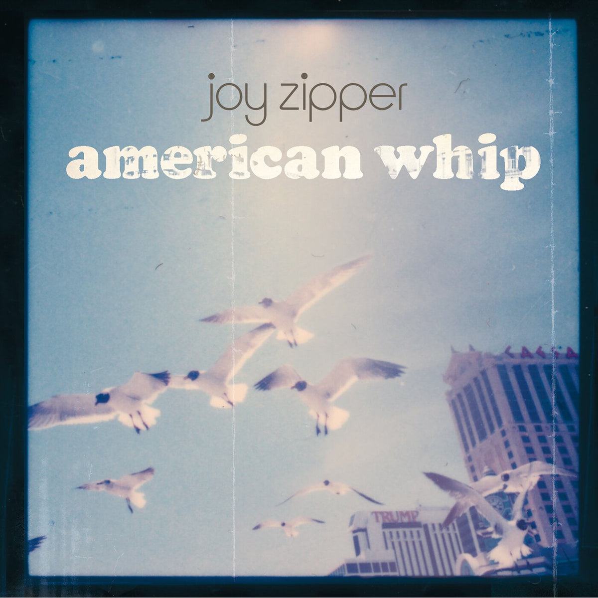 Joy Zipper – American Whip vinyl record cover