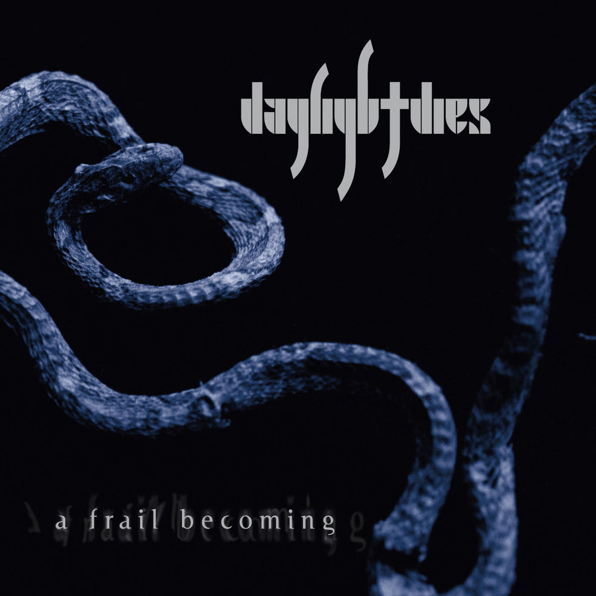 Daylight Dies – A Frail Becoming (2LP) vinyl record cover