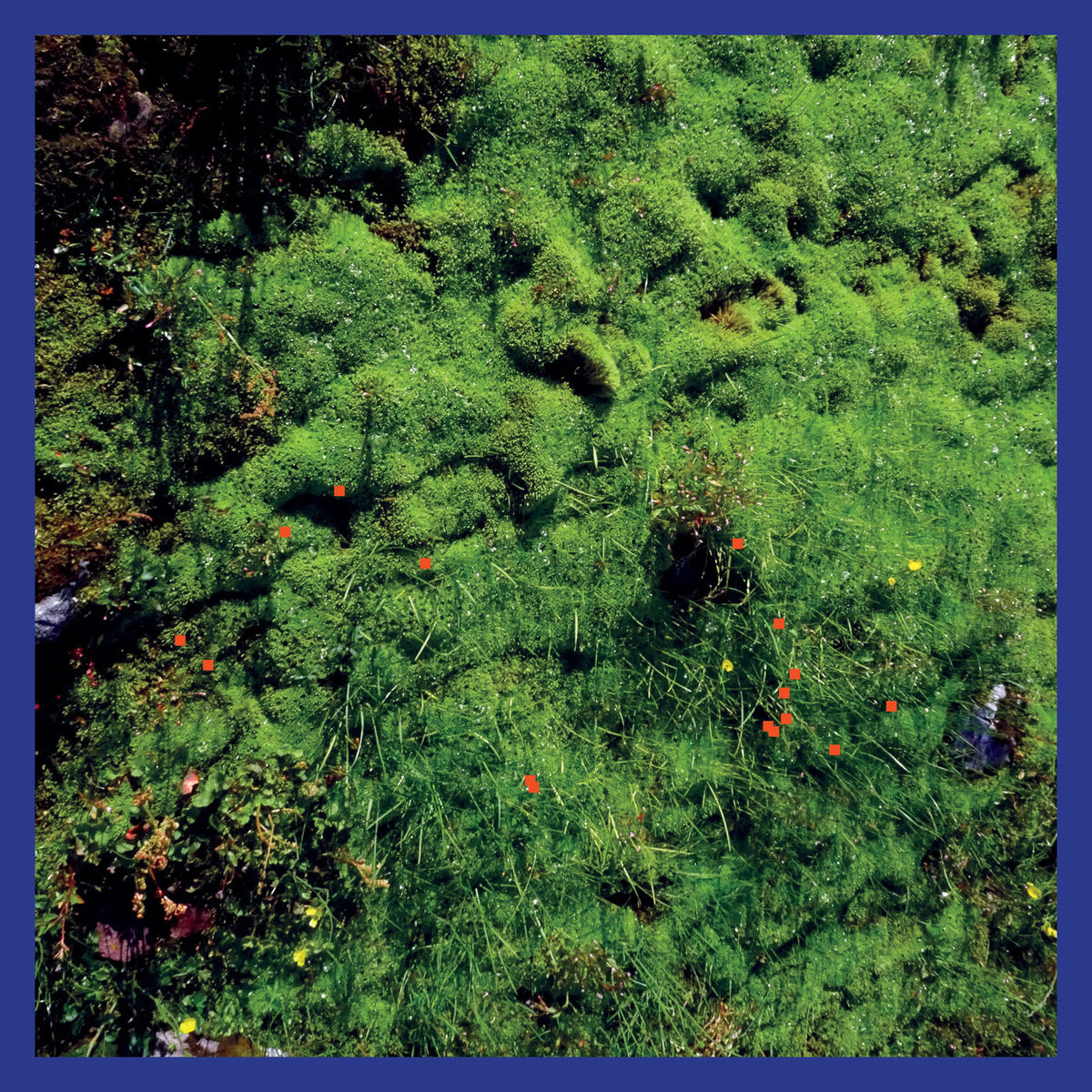 Matthias Puech – Mt. Hadamard National Park vinyl cover