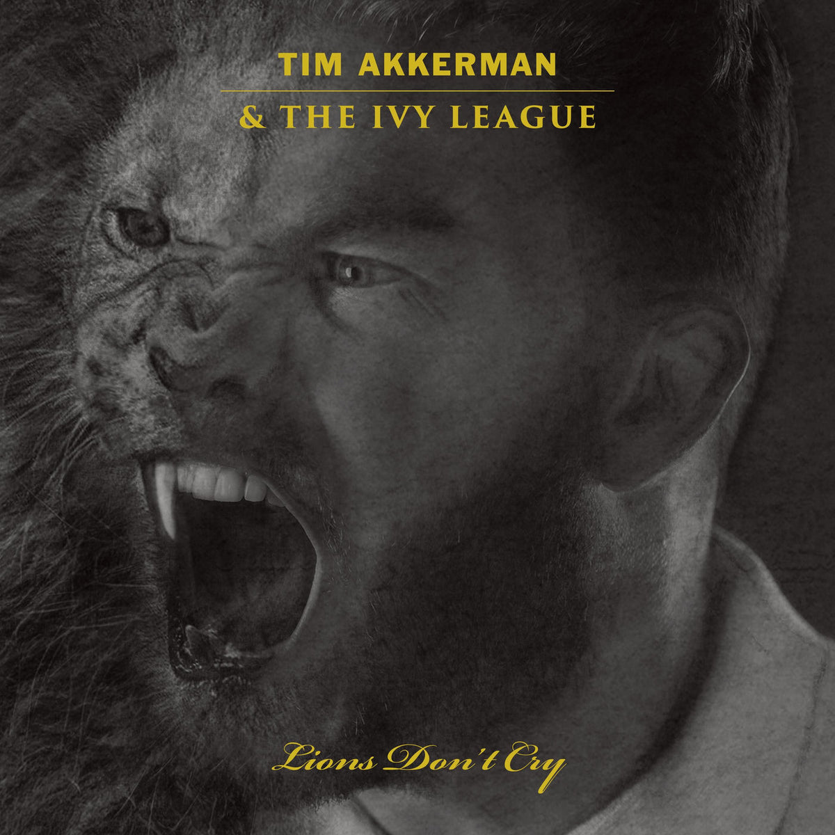 Tim Akkerman – Lions Don't Cry vinyl cover