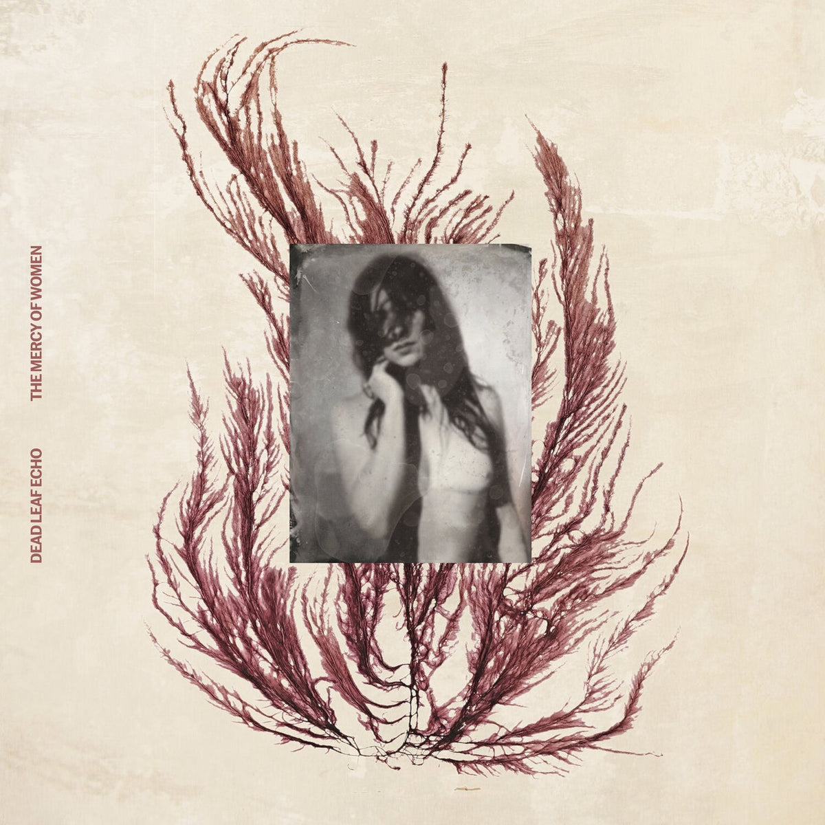 Dead Leaf Echo – The Mercy Of Women - Brown vinyl record cover