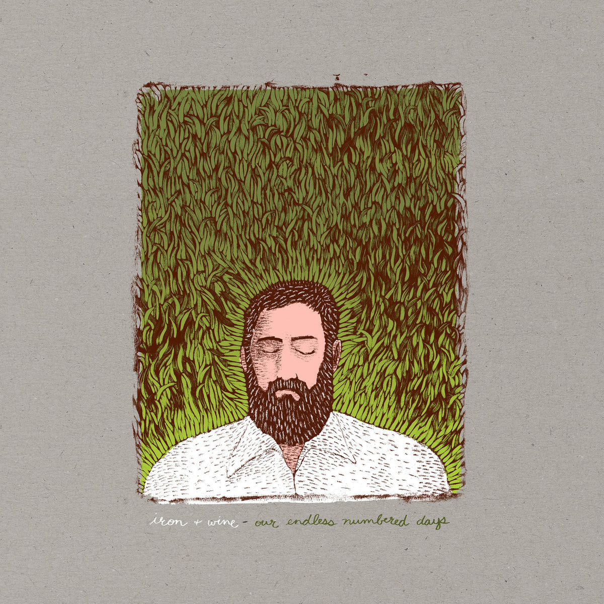 Iron and Wine – Our Endless Numbered Days vinyl record cover