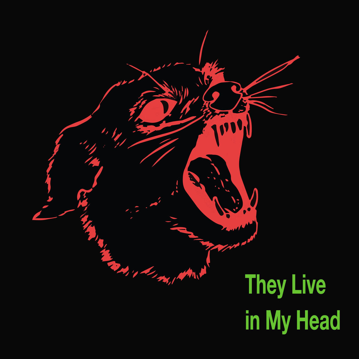 Bush Tetras – They Live in My Head vinyl record cover