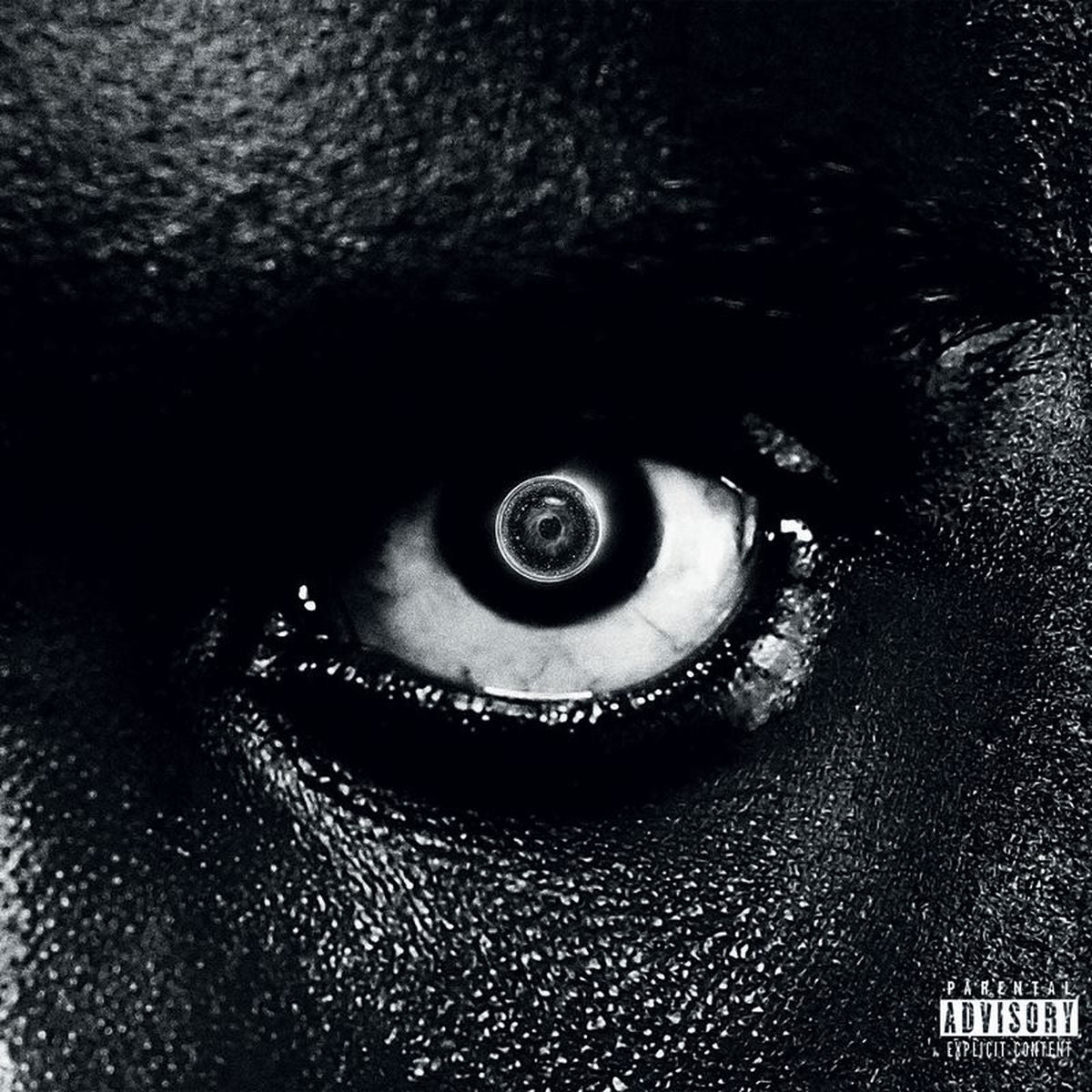 Damso – Lithopedion (2LP) vinyl record cover