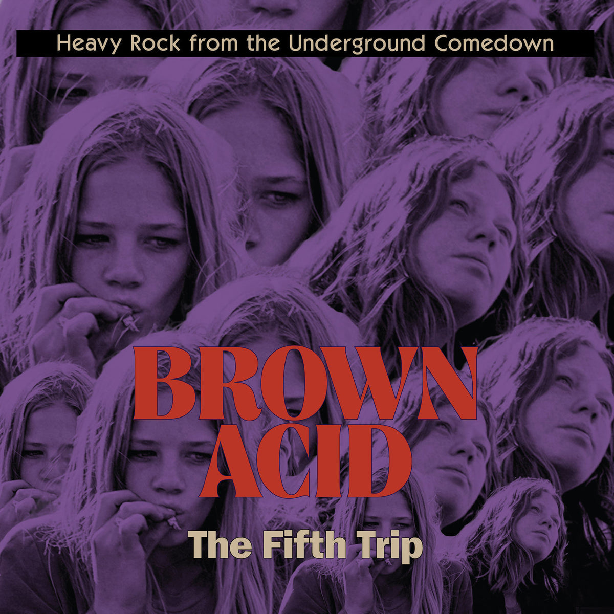 Various Artists – Brown Acid - The Fifth Trip vinyl record cover