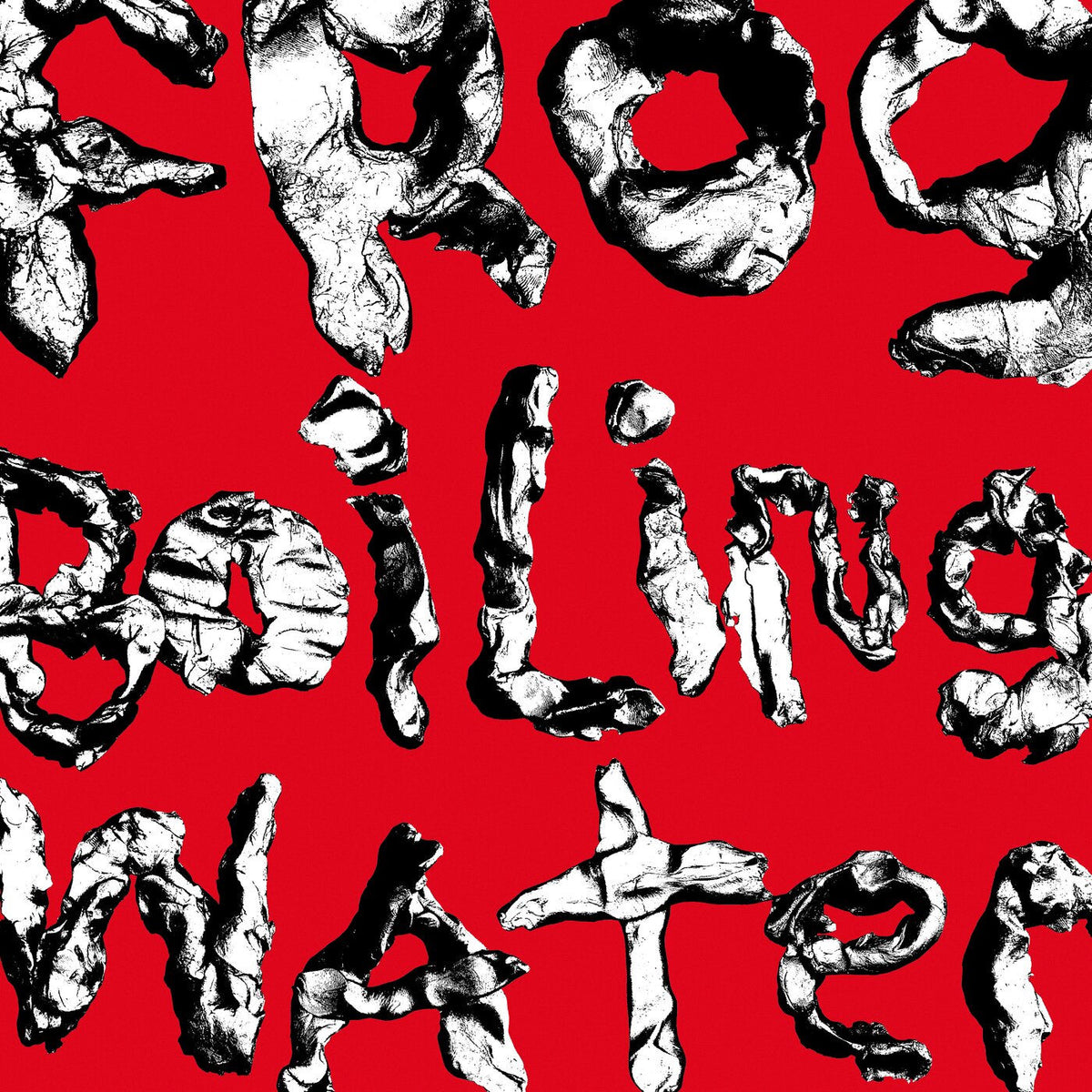 Diiv – Frog in Boiling Water vinyl record cover