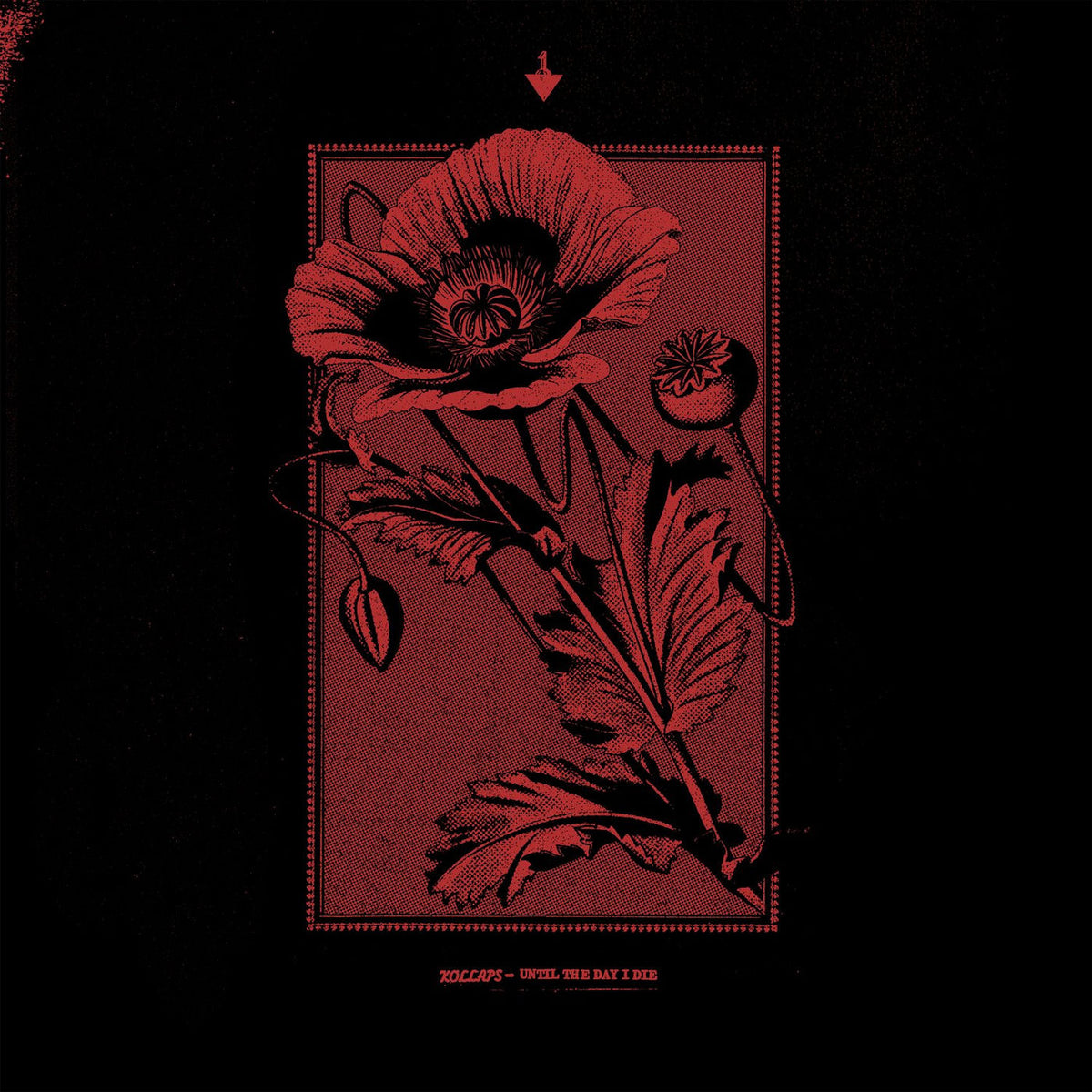 Kollaps – Until The Day I Die vinyl record cover