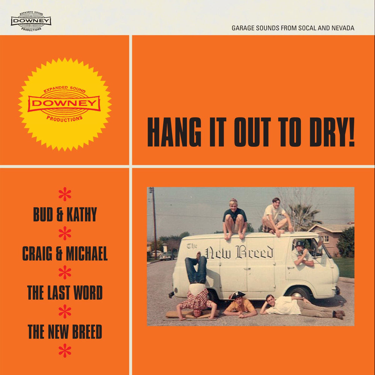 Various Artists – Hang It out to Dry! vinyl cover