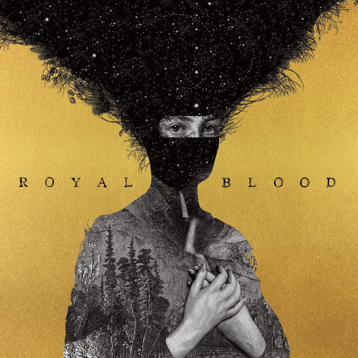 Royal Blood – Royal Blood vinyl record cover