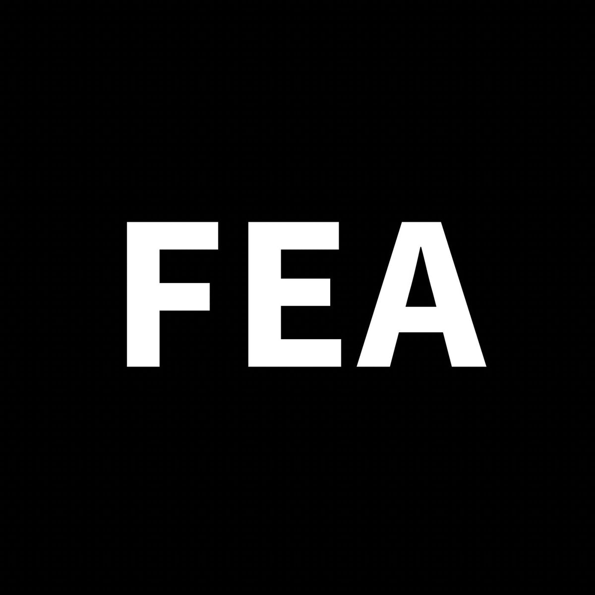 FEA – FEA vinyl record cover