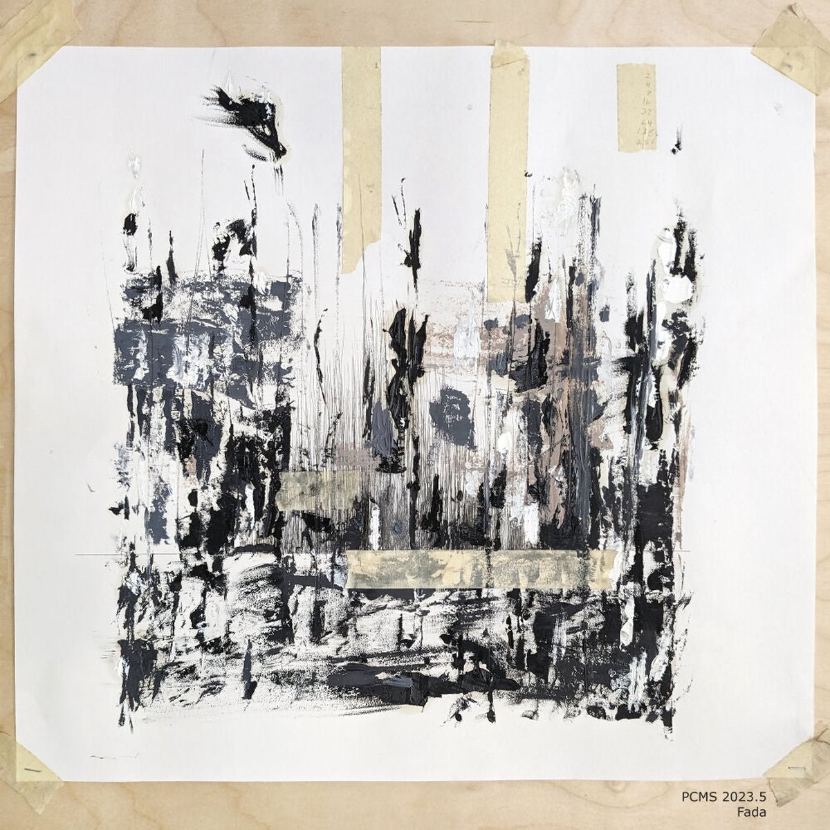 FADA – Pinecone Variations vinyl record cover