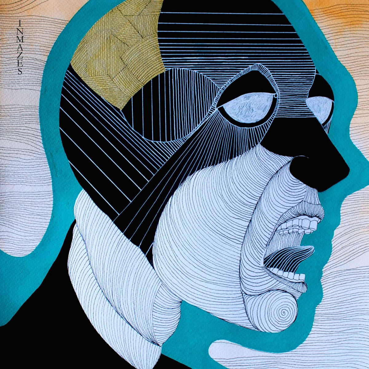 VOLA – Inmazes vinyl record cover