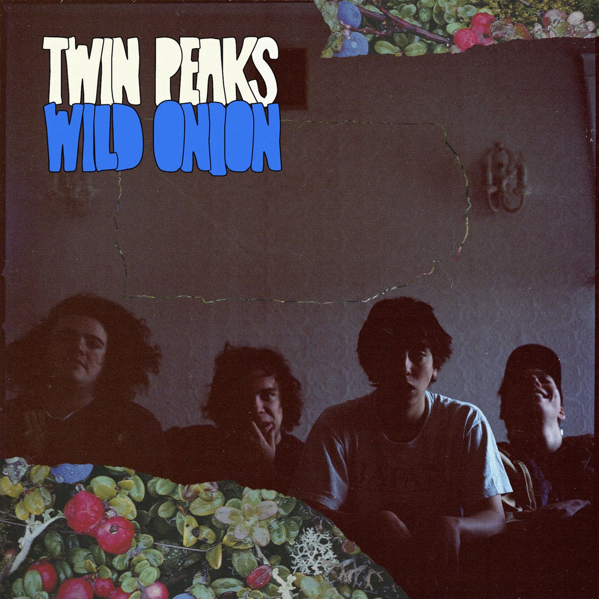 Twin Peaks – Wild Onion vinyl record cover