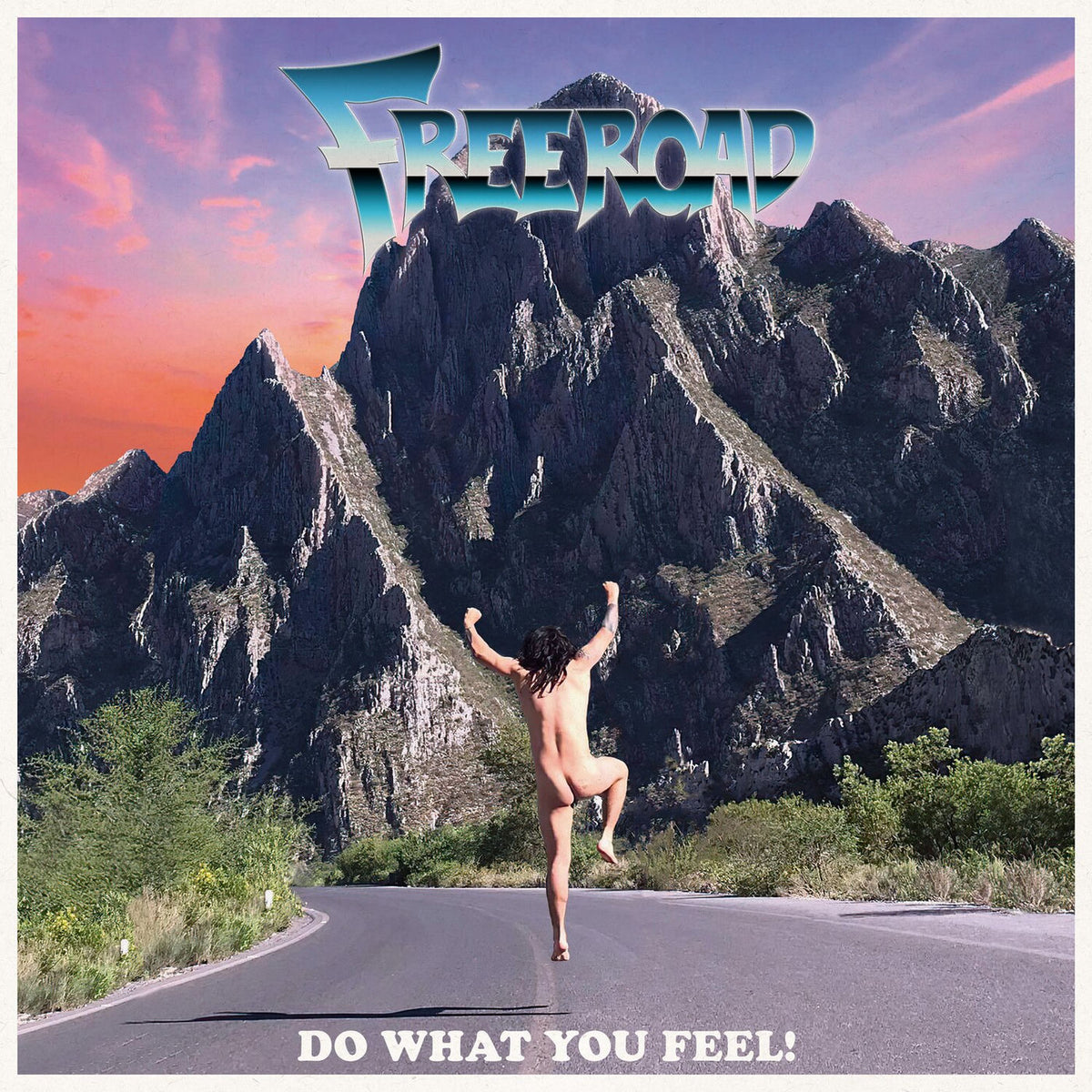 Freeroad – Do What You Feel! vinyl record cover