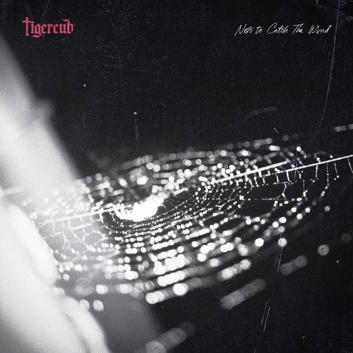 Tigercub – Nets to Catch the Wind (Deluxe) vinyl cover