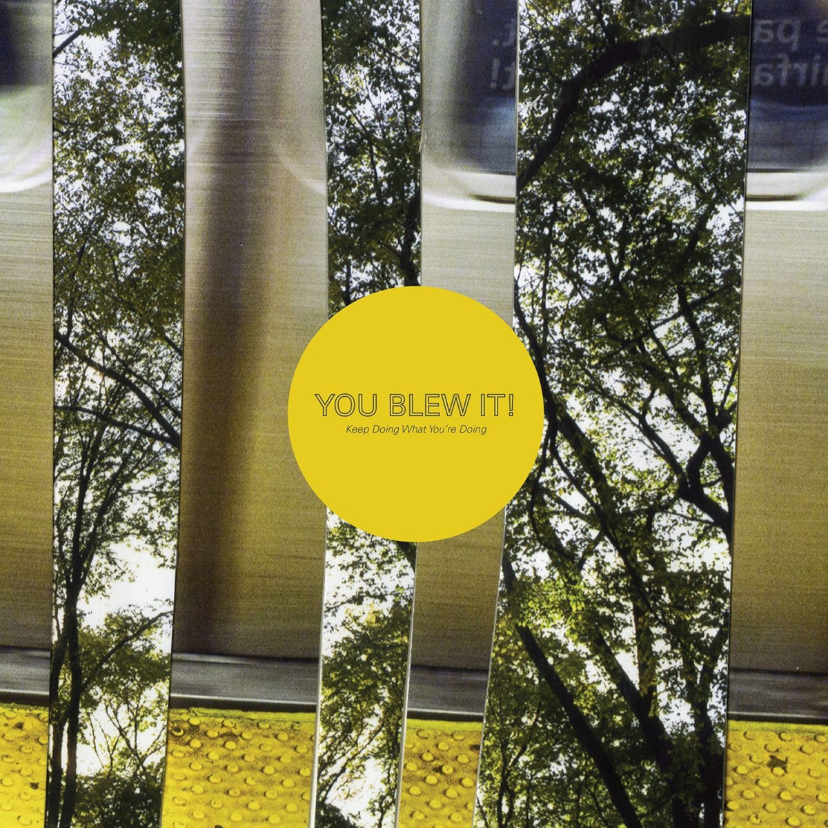 You Blew It – Keep Doing What You'Re Doing vinyl record cover