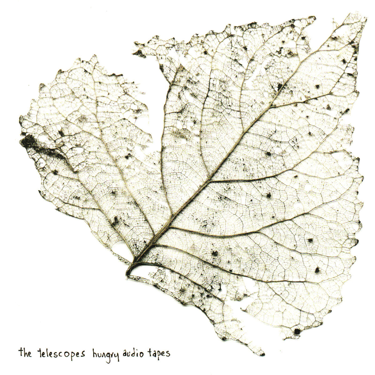 The Telescopes – Hungry Audio Tapes vinyl cover
