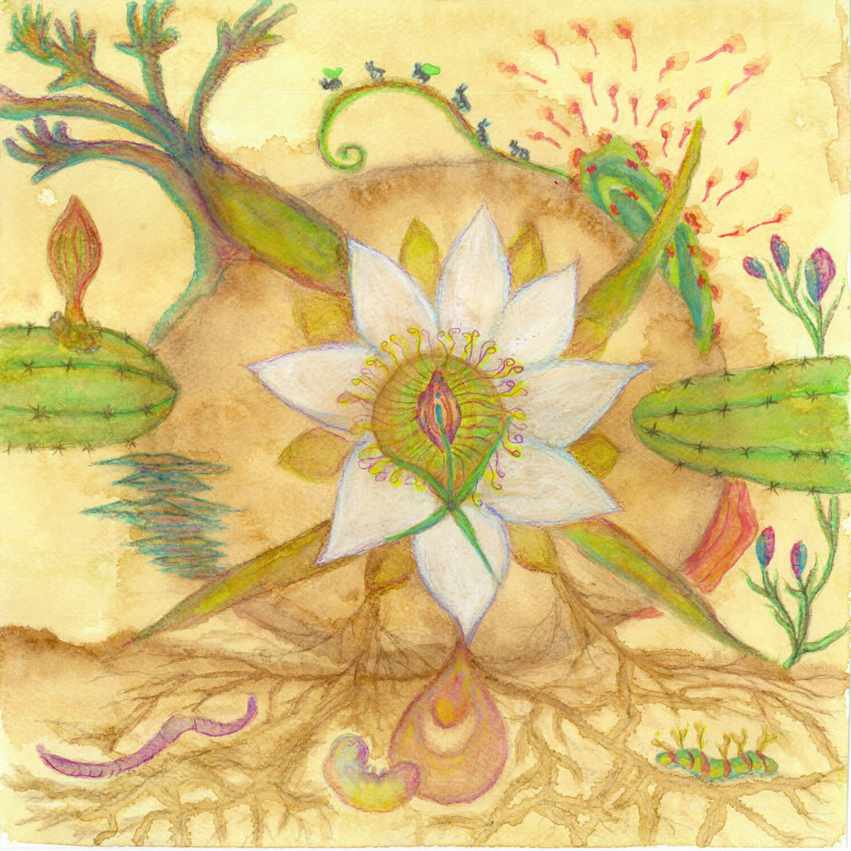 Markandeya – Vision Versions vinyl cover