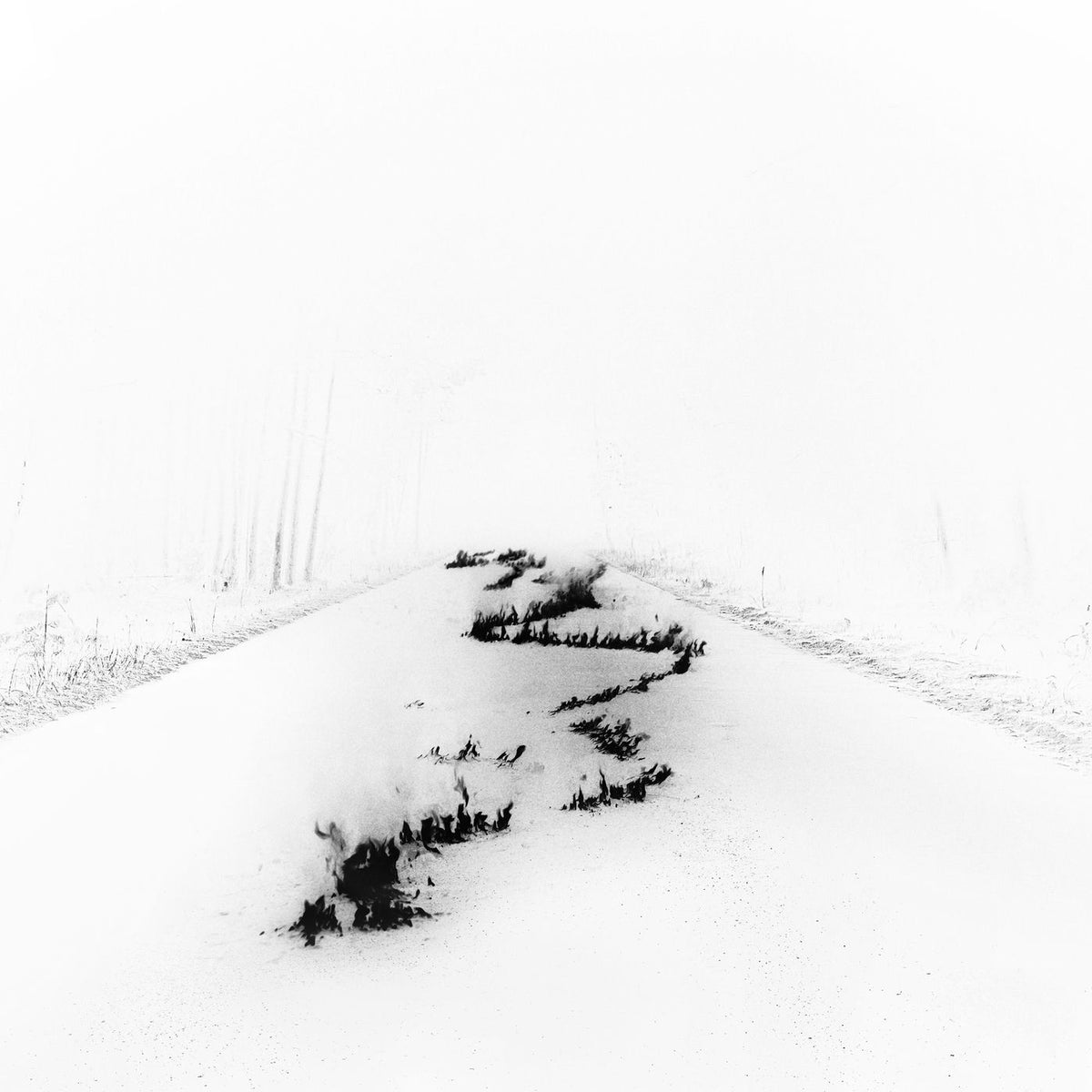 Bob Moses – Battle Lines vinyl record cover