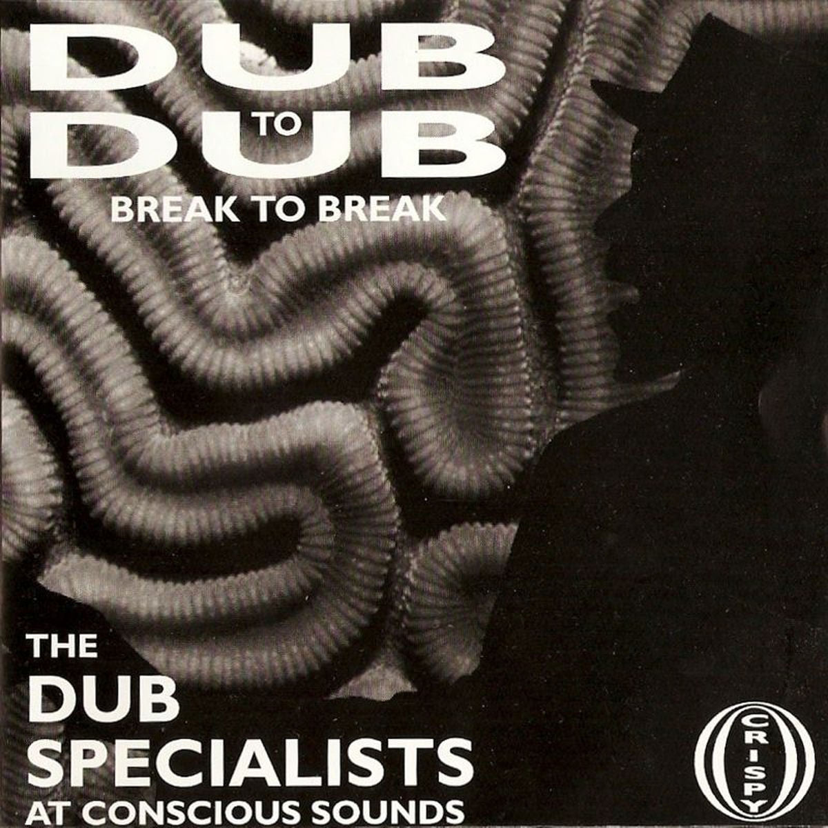Dub Specalists – Dub to Dub Break to Break vinyl cover