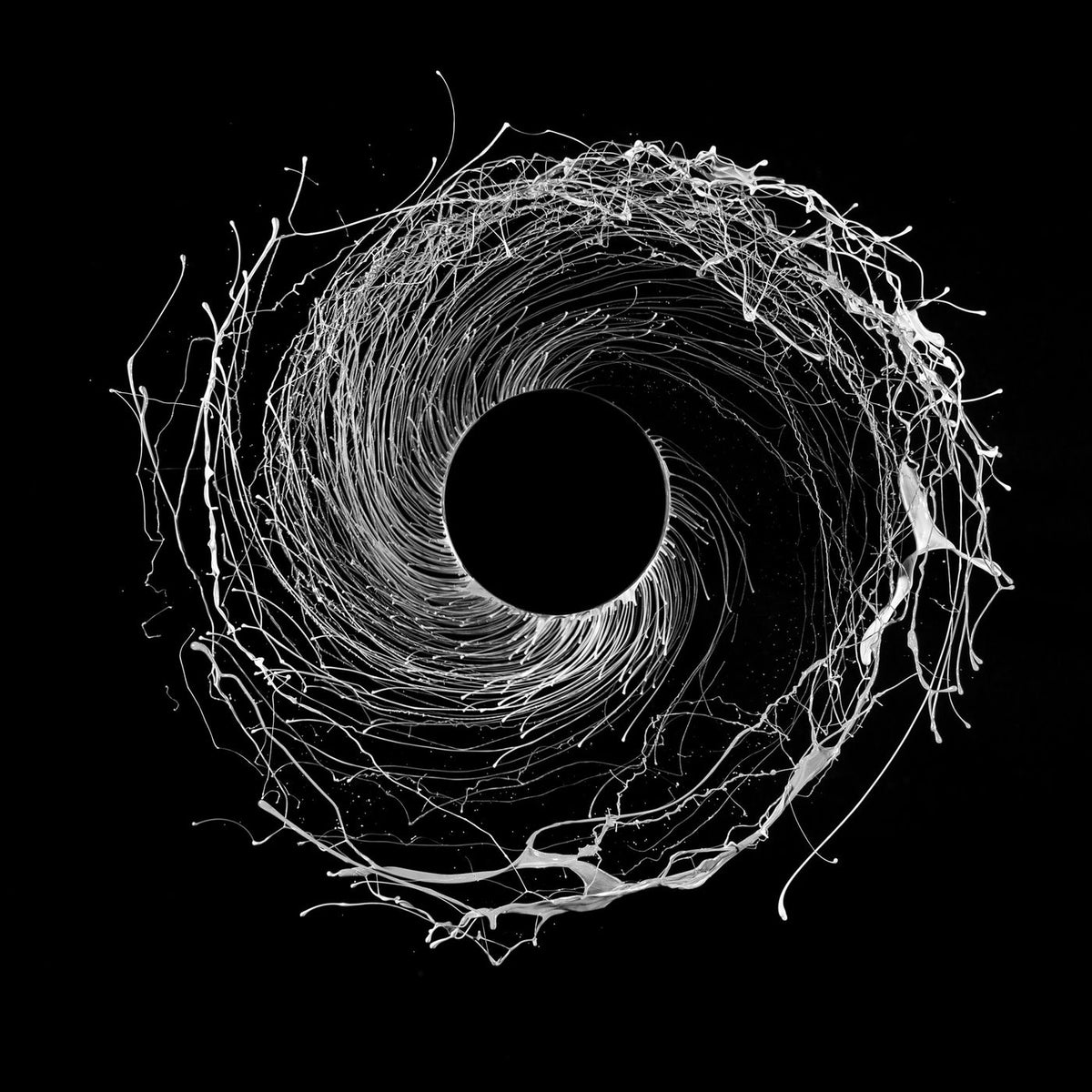 Dawn Of Midi – Dysnomia (DLCD) vinyl record cover