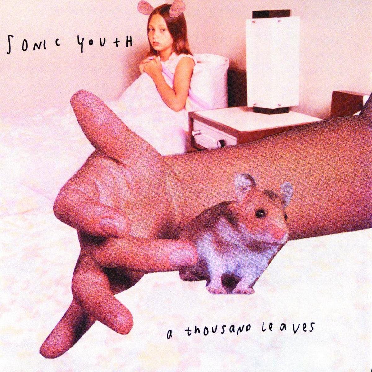 Sonic Youth – A Thousand Leaves (2LP) vinyl record cover