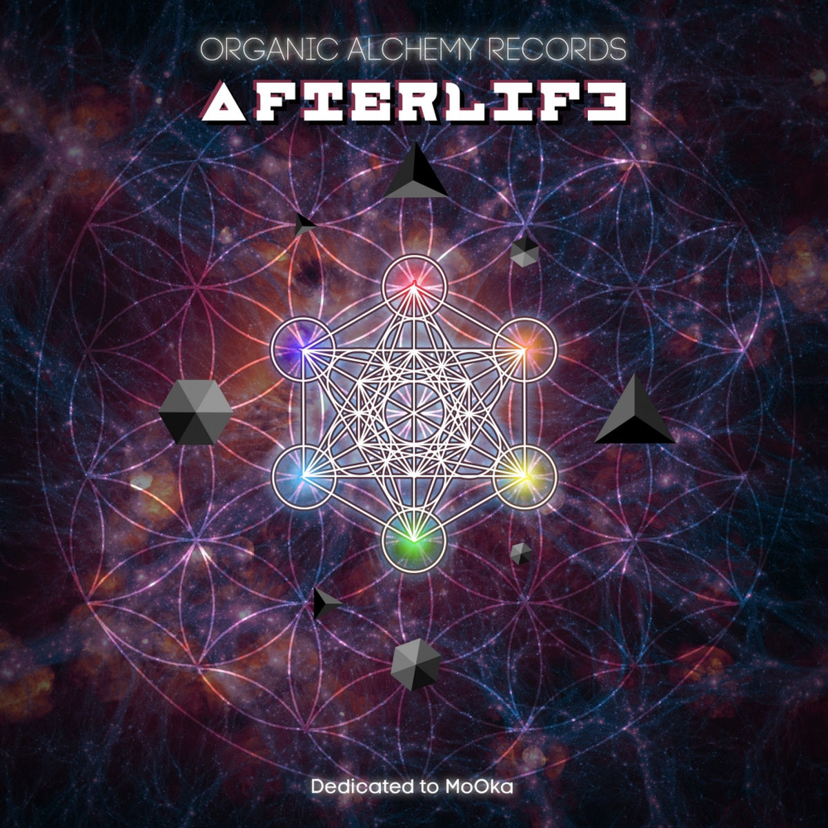 Various Artists – Afterlife vinyl record cover