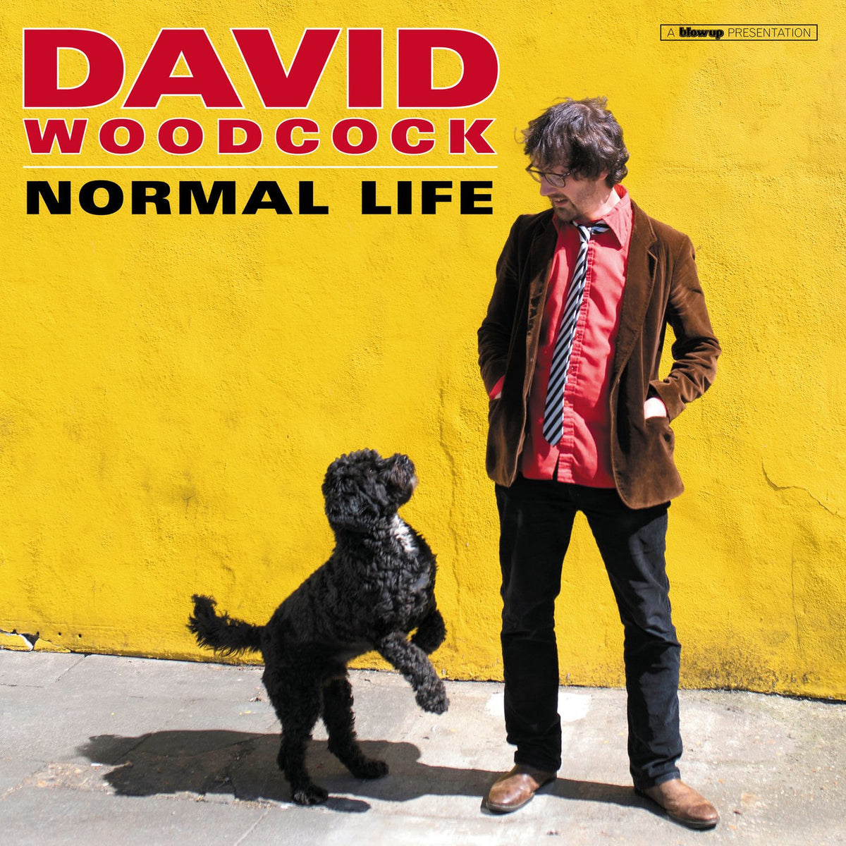 David Woodcock – Normal Life vinyl record cover