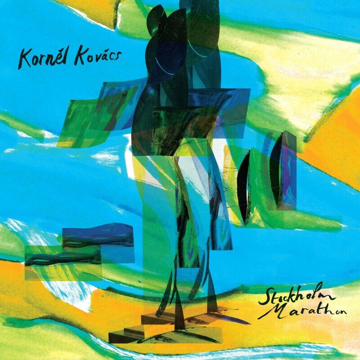 Kornél Kovács – Stockholm Marathon — record image 1