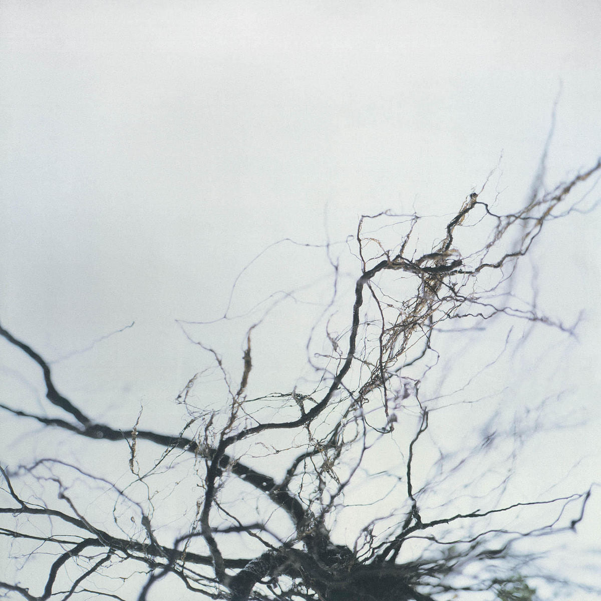 Yutaka Hirose – Nova + 4 (Extended Version) vinyl cover