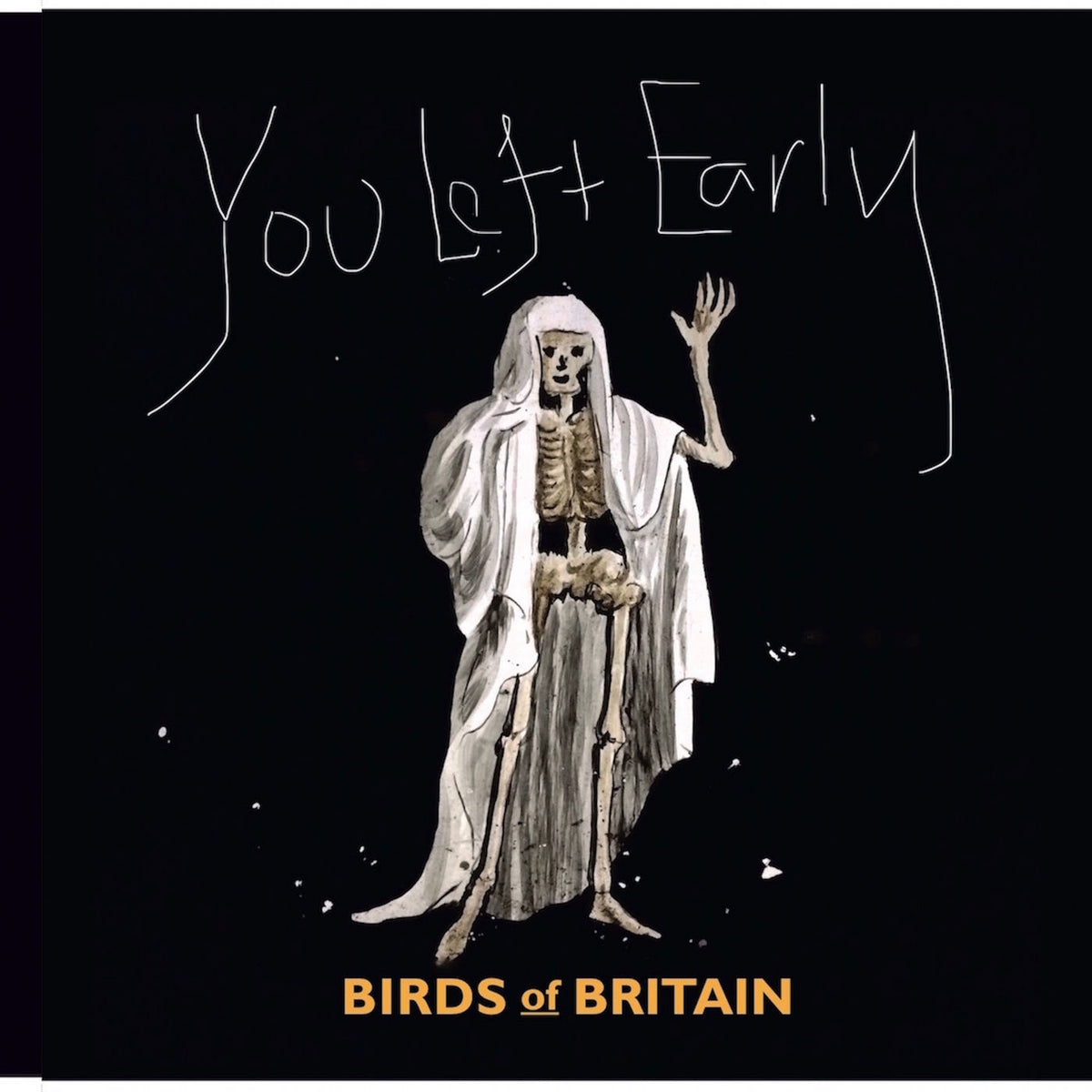 Birds of Britain – You Left Early vinyl record cover