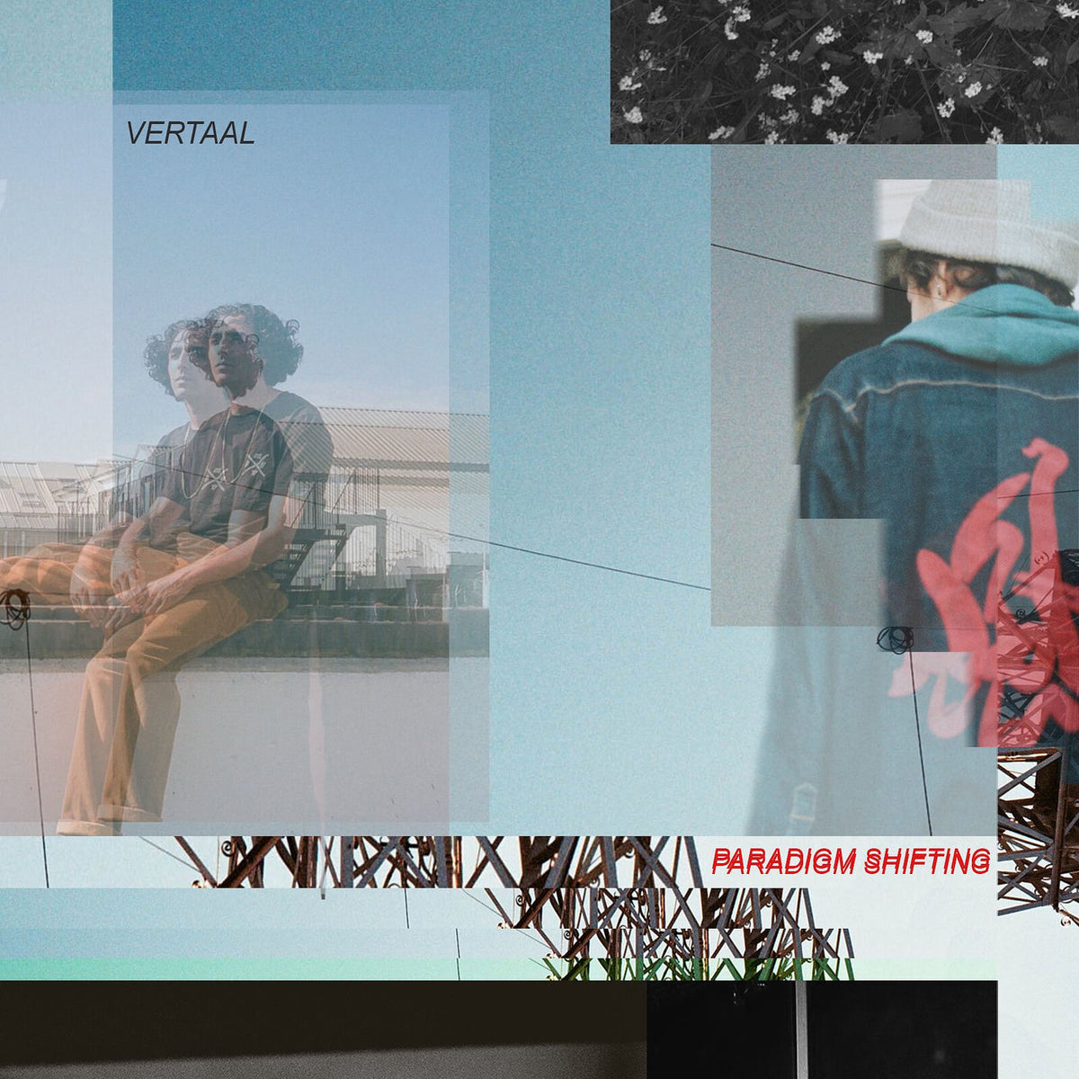 Vertaal – Paradigm Shifting vinyl record cover