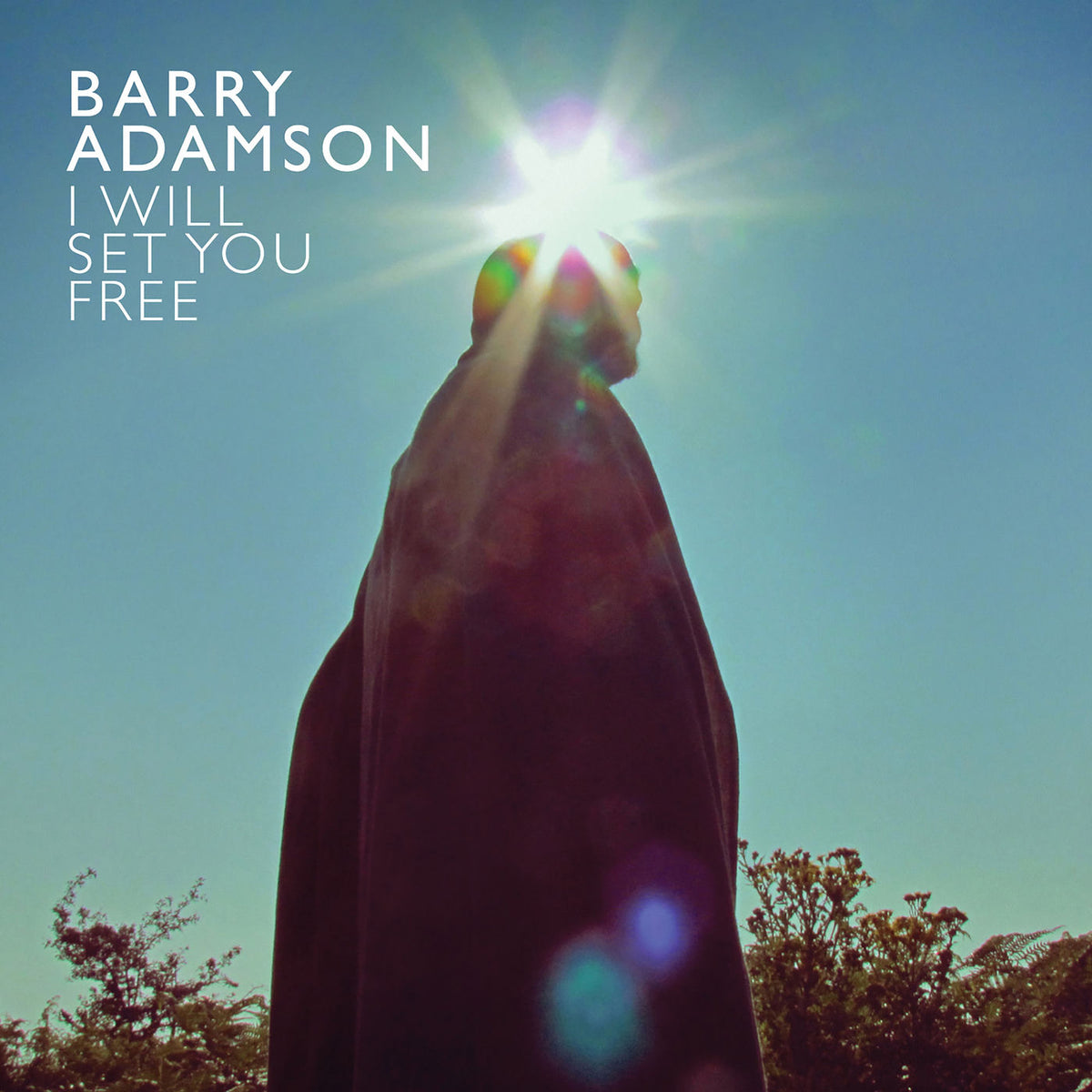 Barry Adamson – I Will Set You Free vinyl record cover