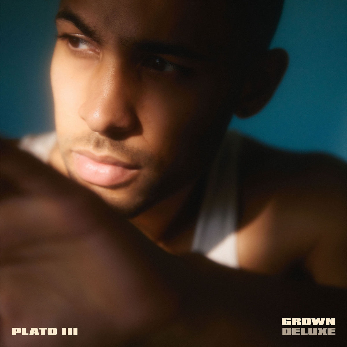 Plato III – Grown vinyl record cover