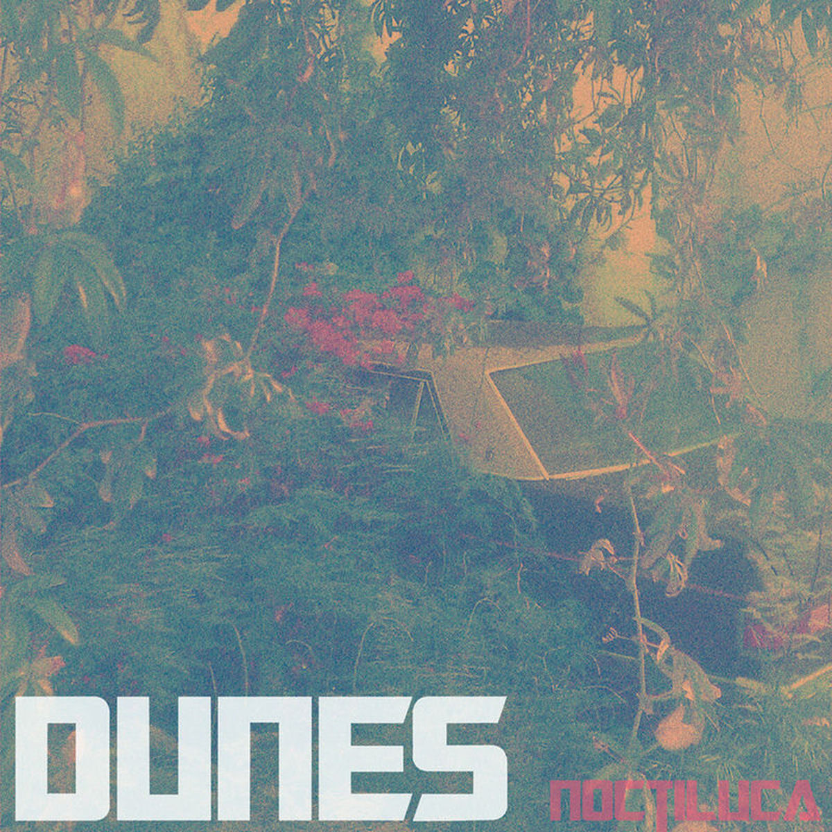 Dunes – Noctiluca vinyl record cover