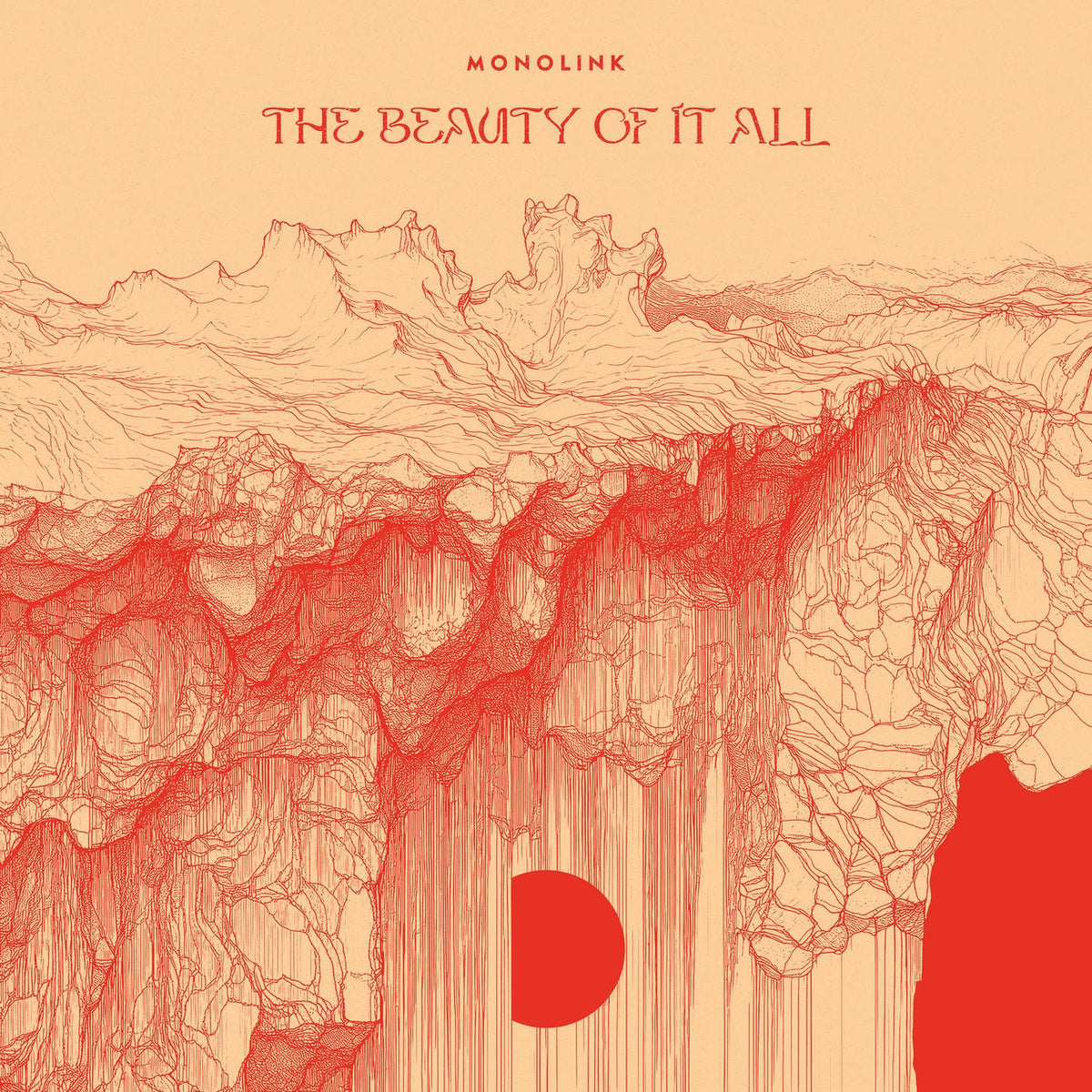 Monolink – The Beauty Of It All vinyl record cover