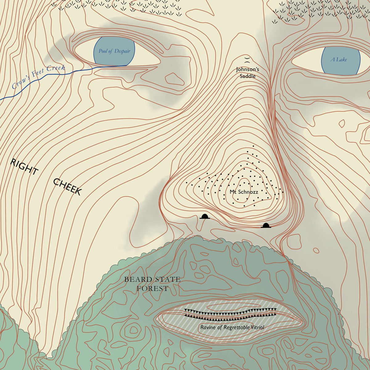 Lawrence Arabia – Absolute Truth vinyl cover