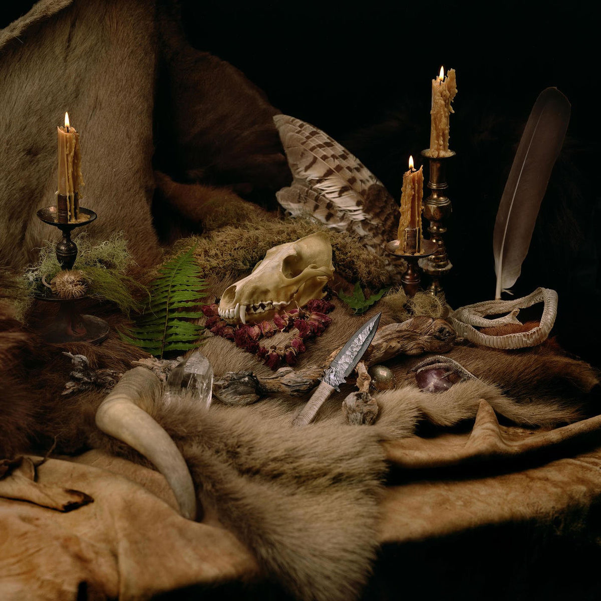 Wolves In The Throne Room – Primordial Arcana (Bonus Track Edition) vinyl cover