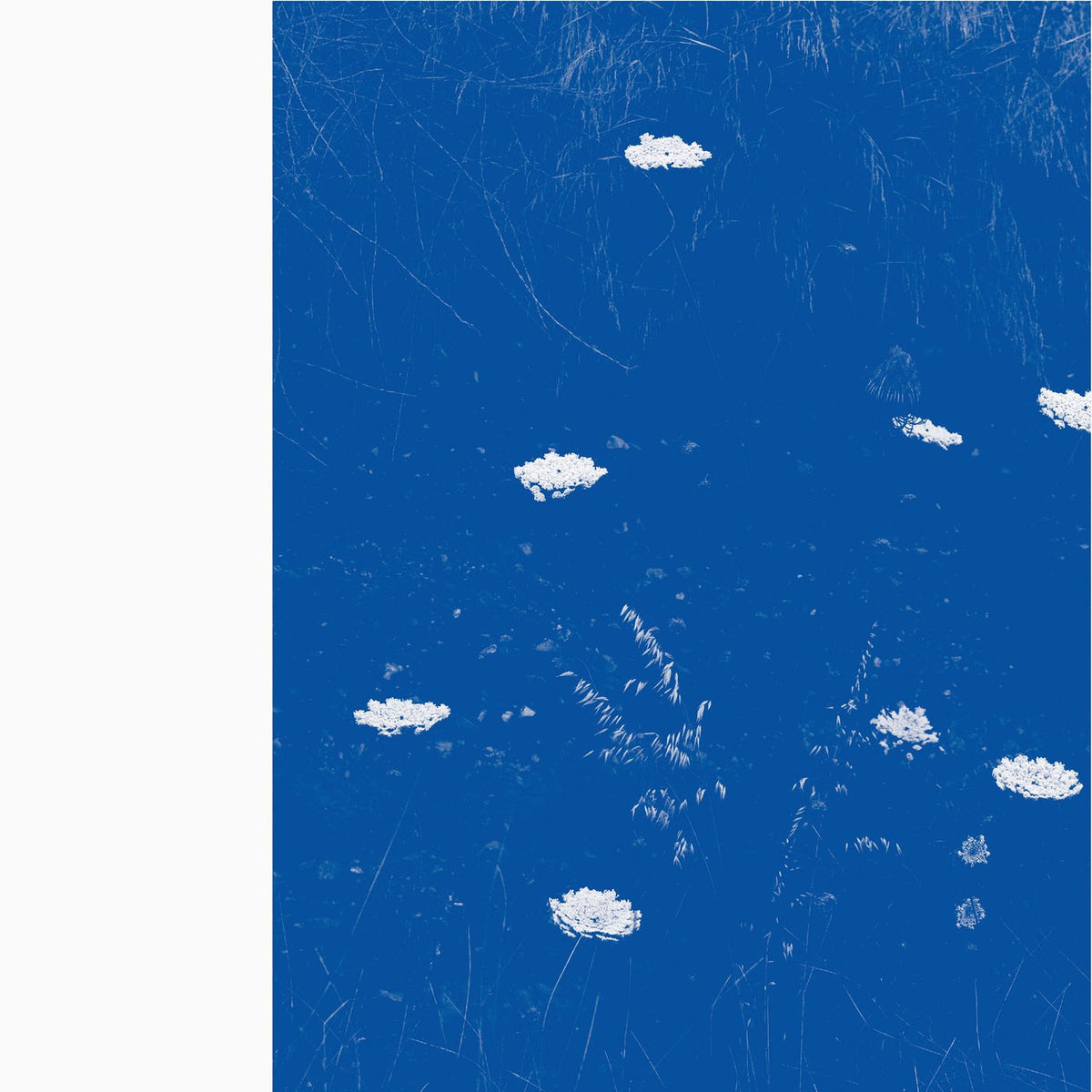 Merzbow – Flare Blues vinyl record cover