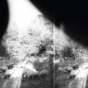 Godspeed You! Black Emperor – Asunder, Sweet and Other Distress vinyl record cover