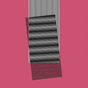 Hot Chip – Why Makes Sense? vinyl record cover