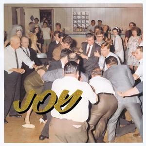 Idles – Joy As an Act of Resistance. vinyl record cover