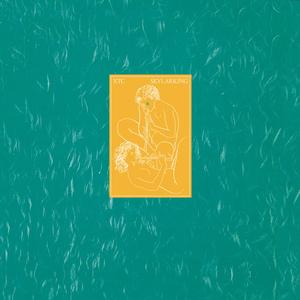 Xtc – Skylarking vinyl record cover