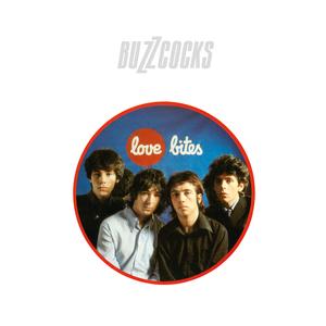 Buzzcocks – Love Bites vinyl record cover